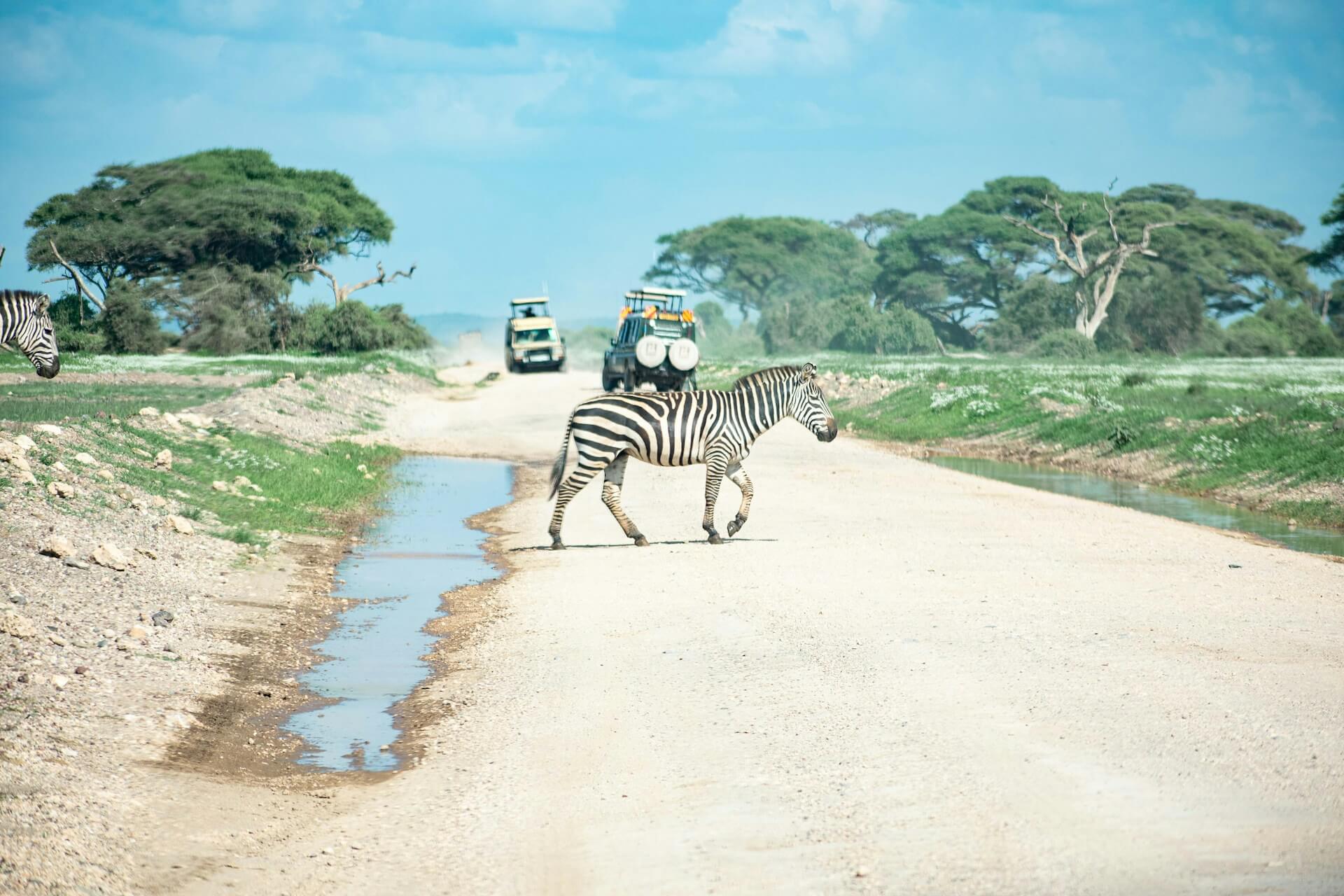 3 Days Tsavo East Tsavo West Safari Wildlife Adventure Experience Journey